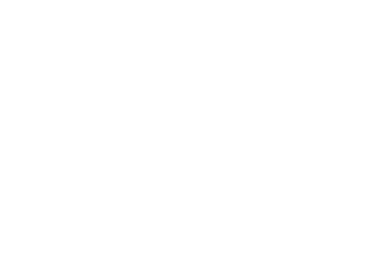 The Swing Freaks